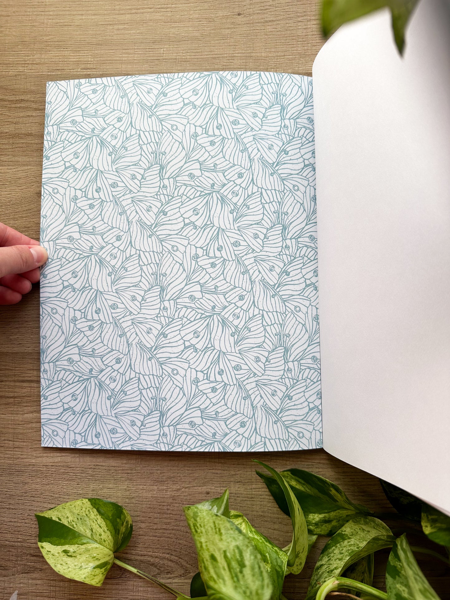 Art Nouveau Luna Moth Blank 8.5"x11" Sketchbook